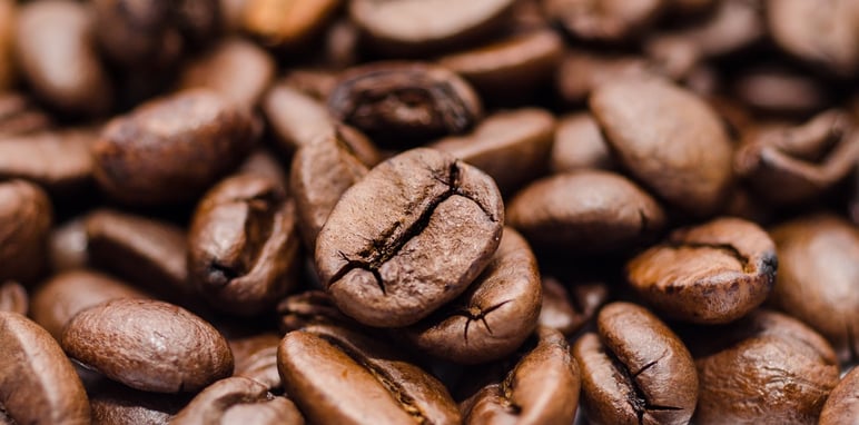 Close up photo of coffee beans
