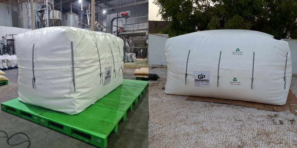 Cocoons used in organic treatments.