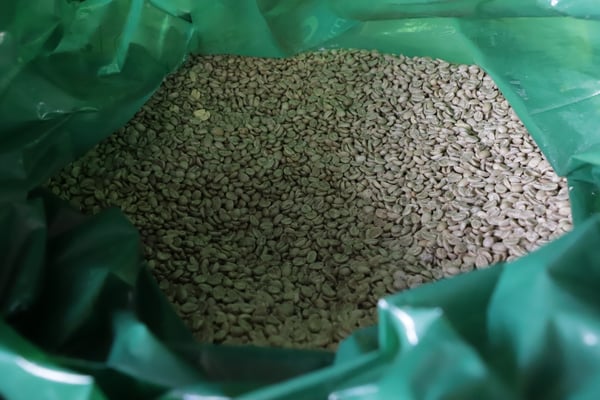 Coffee Beans in Hermetic Bag Premium Twist and Tie