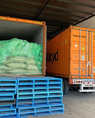 Cocoa beans sealed in GrainPro TranSafeliner inside a shipping container.