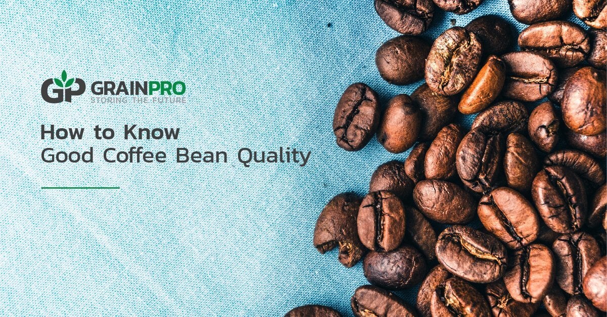 high quality coffee bean