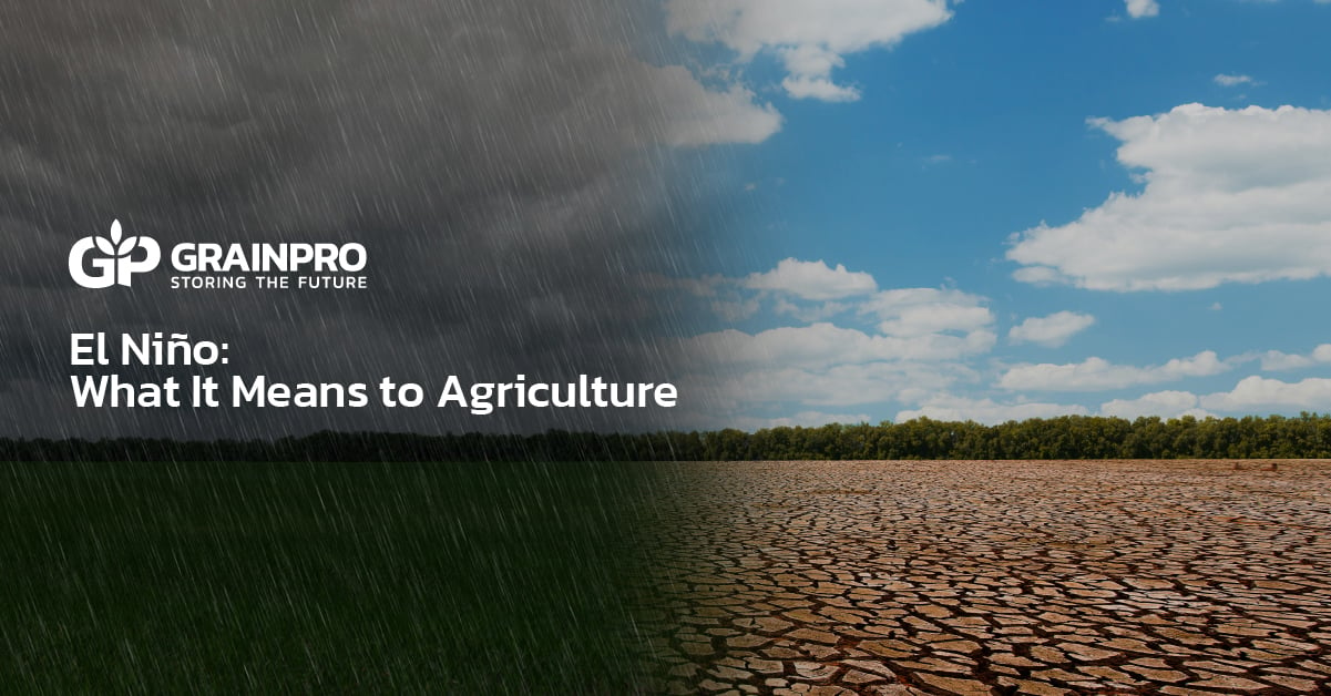 El Niño and What It Means to Agriculture
