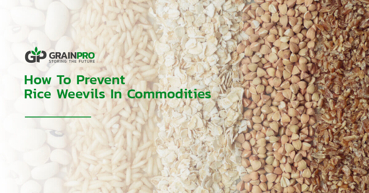 how to prevent rice weevils in commodities