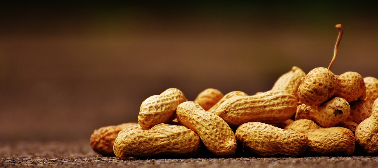 Raw Peanuts on the Ground