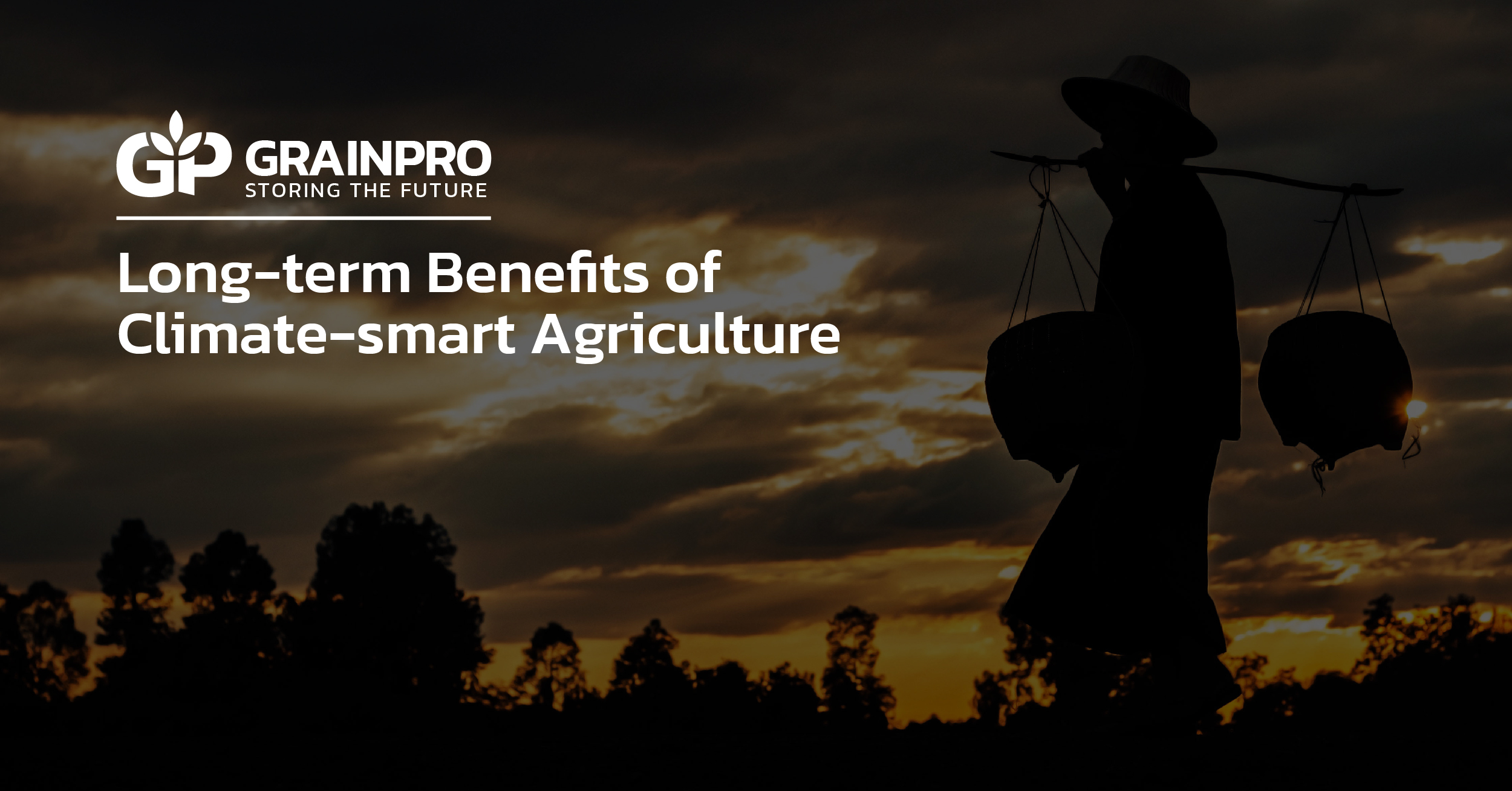 Long-term Benefits of Climate-smart Agriculture