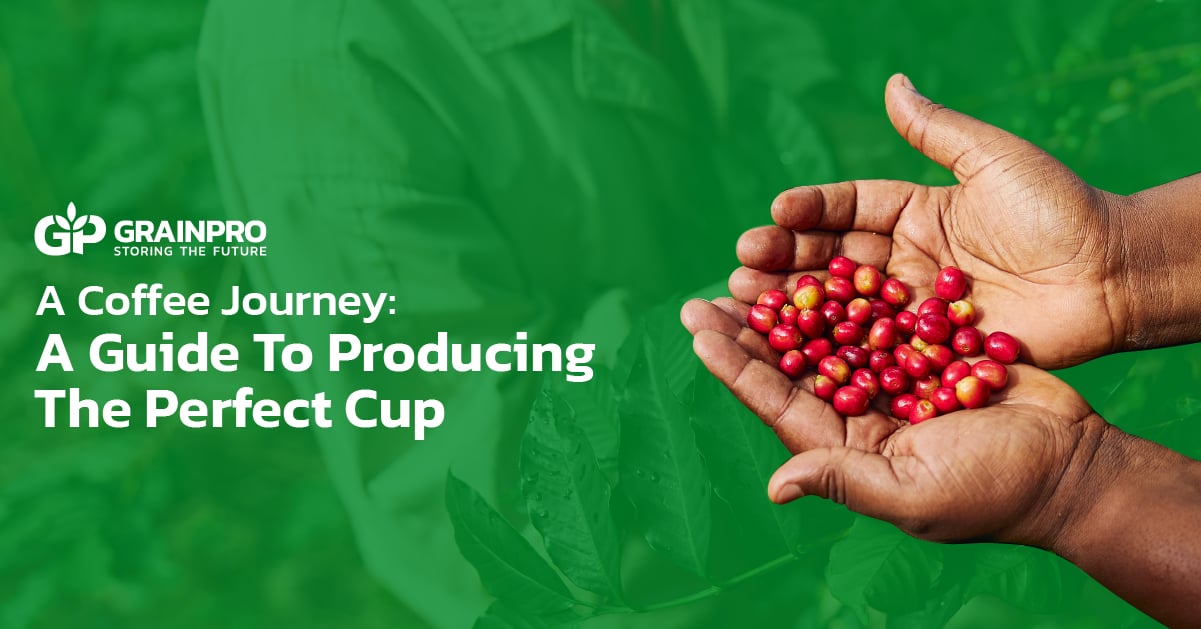 a coffee journey guide to producing the perfect cup