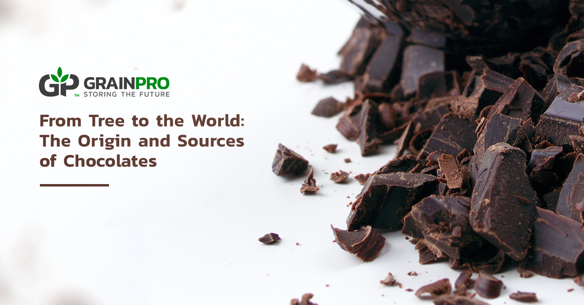 GP - Source of Chocolates V1 - 021319