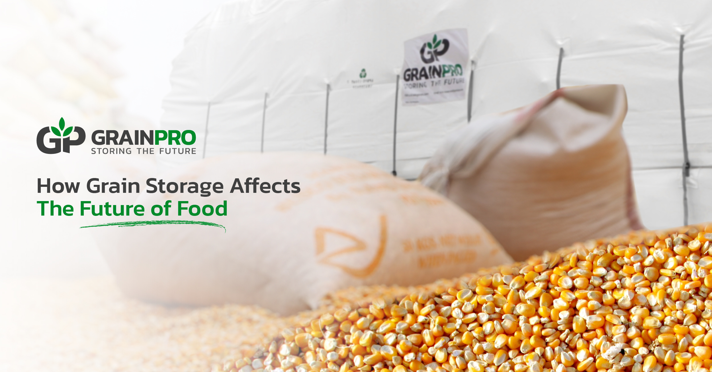 How Grain Storage Affects The Future of Food