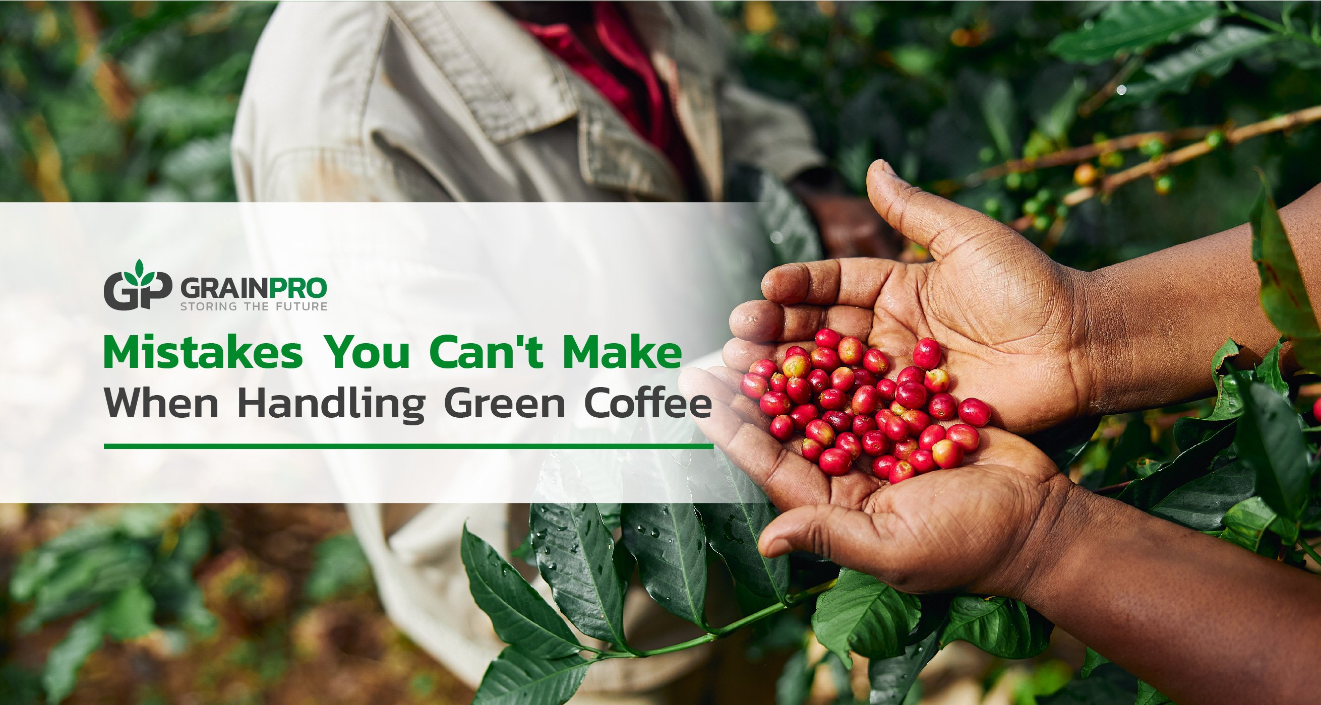 handling green coffee, hermetic technology, green coffee beans