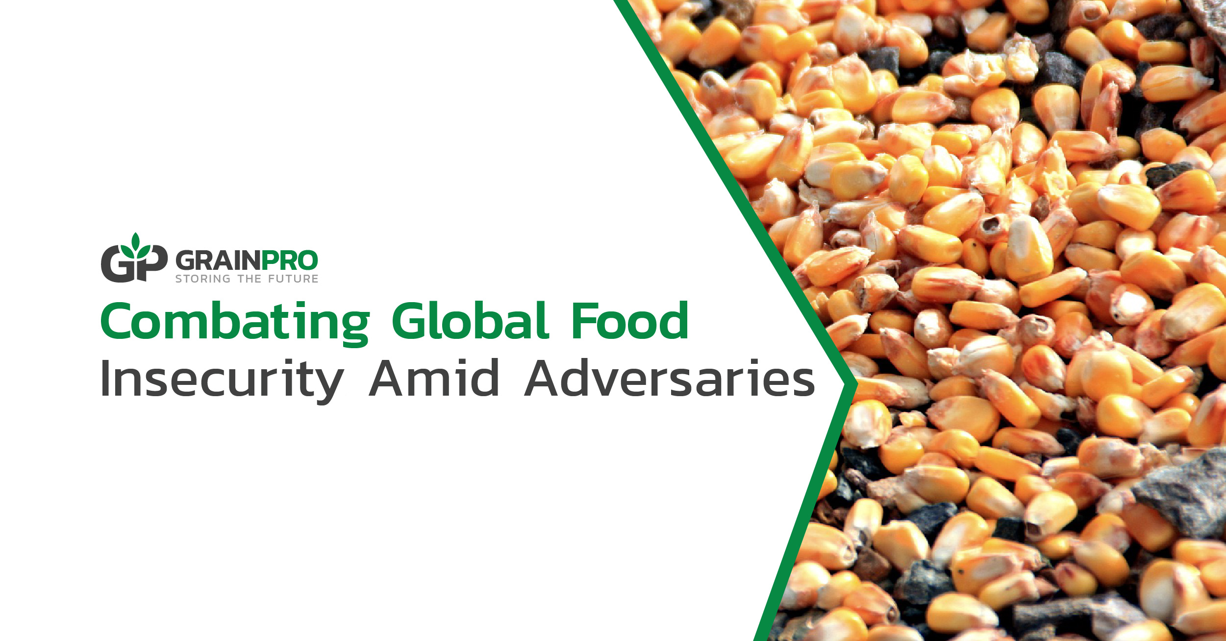 combating global food insecurity