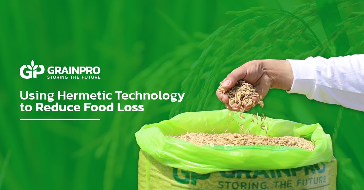 grainpro hermetic bag with rice helps reduce food loss