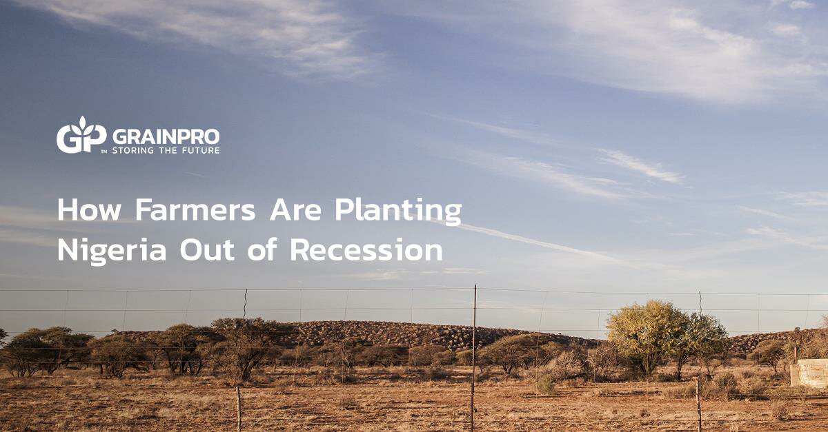 how farmers are planting Nigeria out of recession